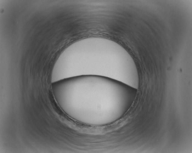 X0000085300032200703091131