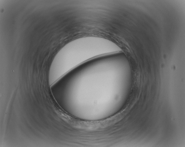 X0000085300033200703091131