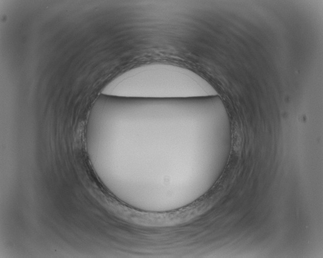 X0000085300034200703091131