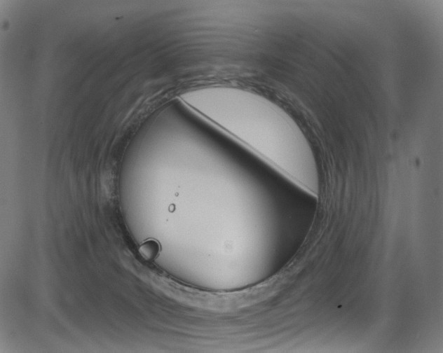 X0000085300035200703091131