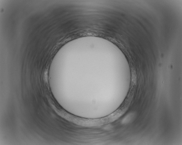 X0000085300036200703091131