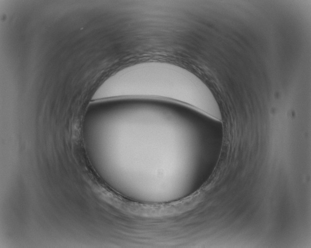 X0000085300037200703091131