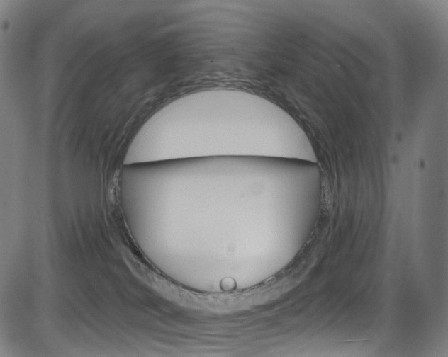 X0000085300038200703091131