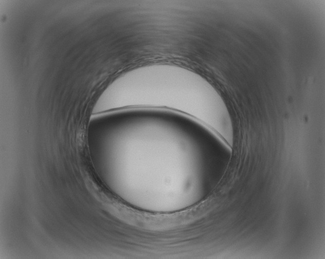 X0000085300039200703091131