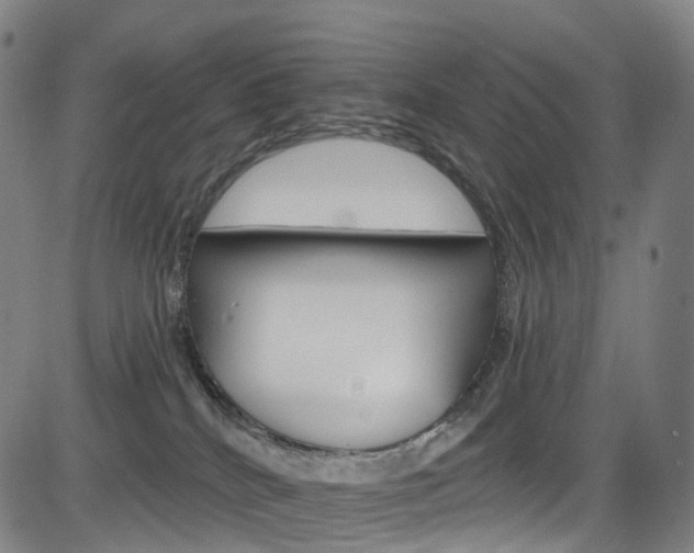 X0000085300040200703091131