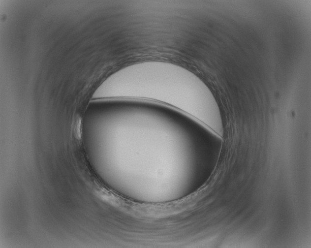 X0000085300041200703091131