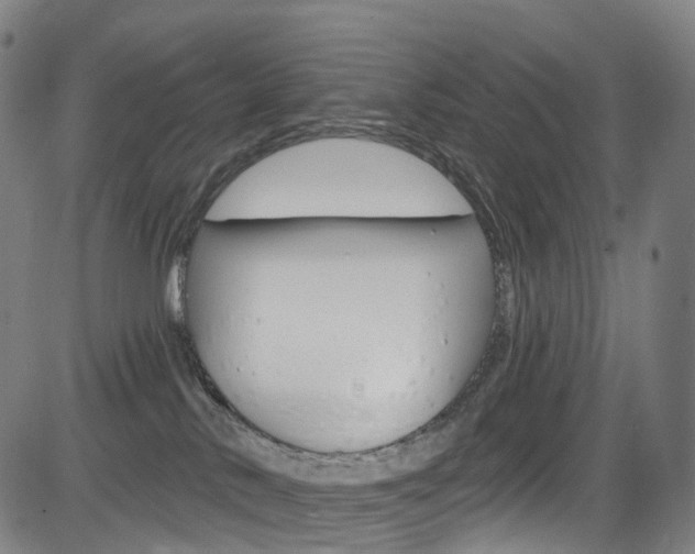 X0000085300042200703091131