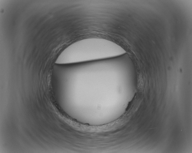 X0000085300043200703091131