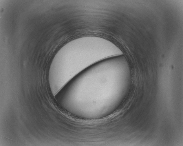 X0000085300044200703091131