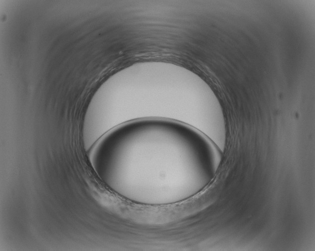 X0000085300045200703091131