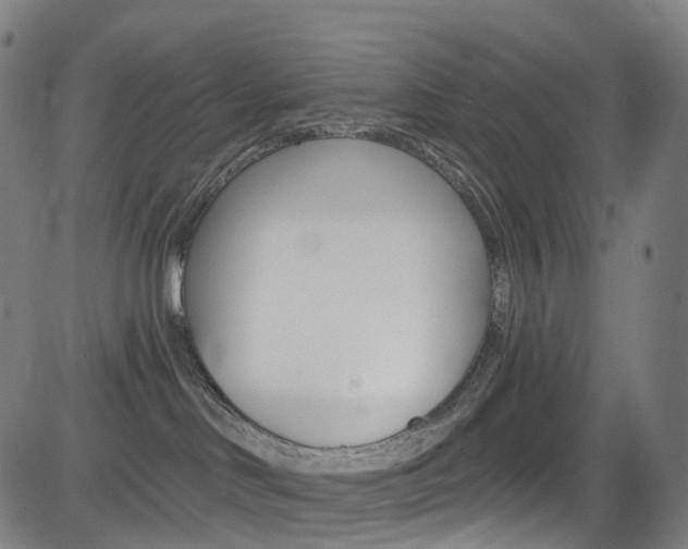 X0000085300046200703091131