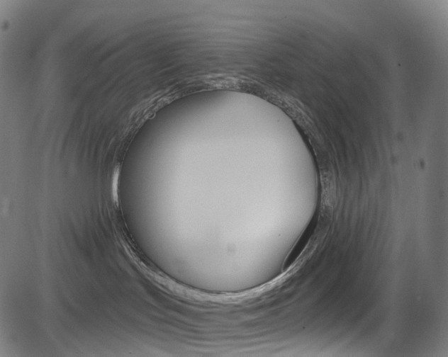 X0000085300047200703091131