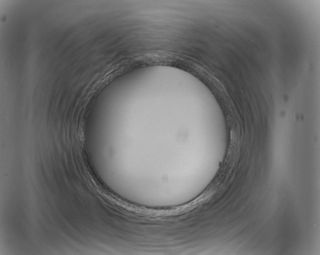 X0000085300048200703091131