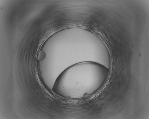 X0000085300049200703091130