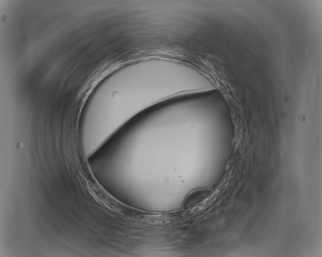 X0000085300050200703091130