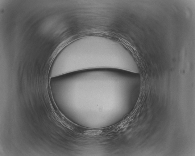 X0000085300051200703091130