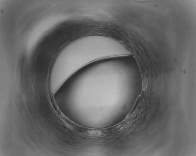 X0000085300052200703091130