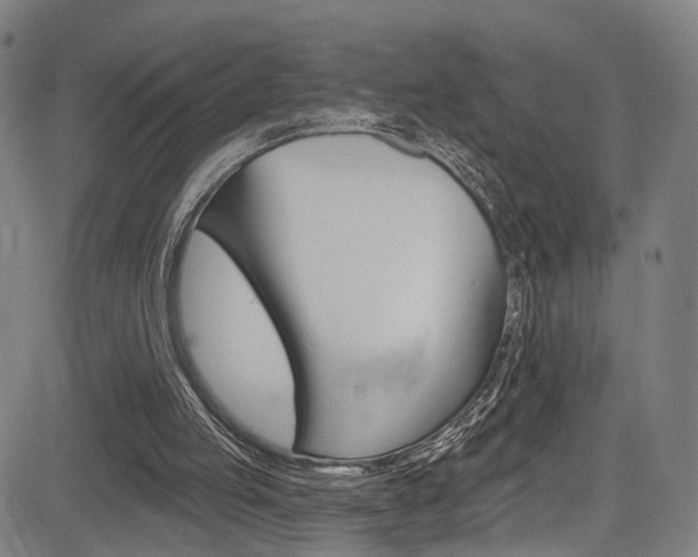 X0000085300053200703091130