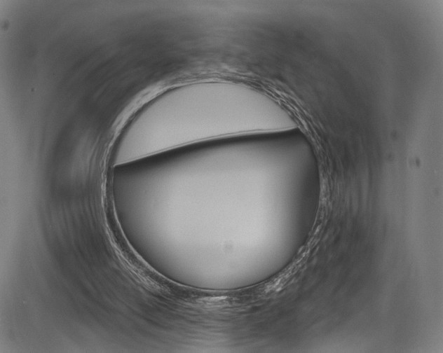 X0000085300054200703091130