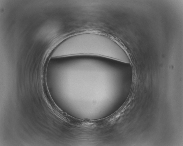 X0000085300055200703091130