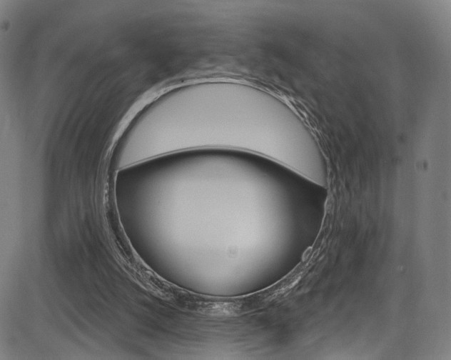 X0000085300056200703091130