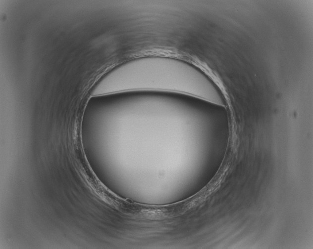 X0000085300057200703091130