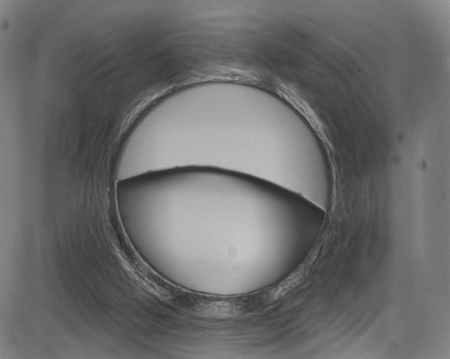 X0000085300058200703091130