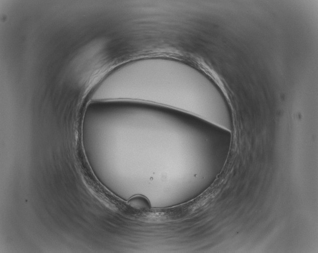 X0000085300059200703091130