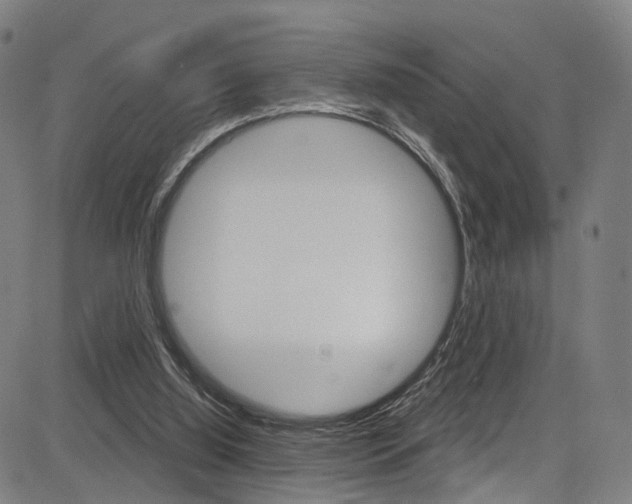 X0000085300060200703091130