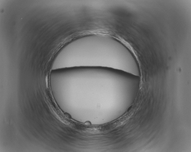 X0000085300061200703091130