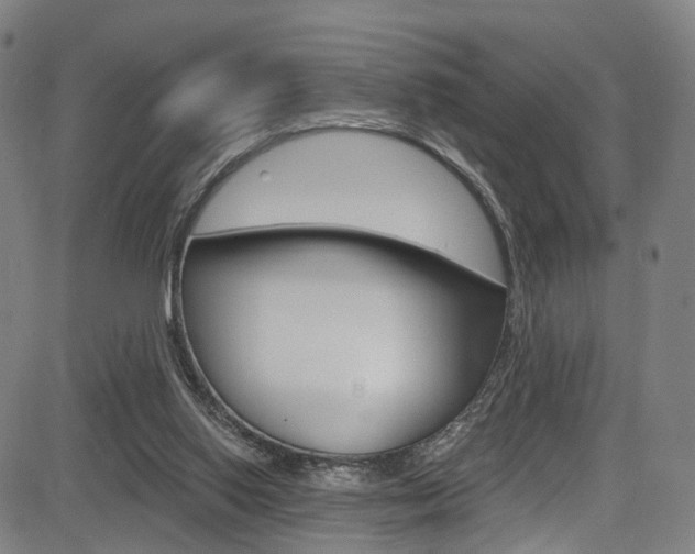 X0000085300062200703091130