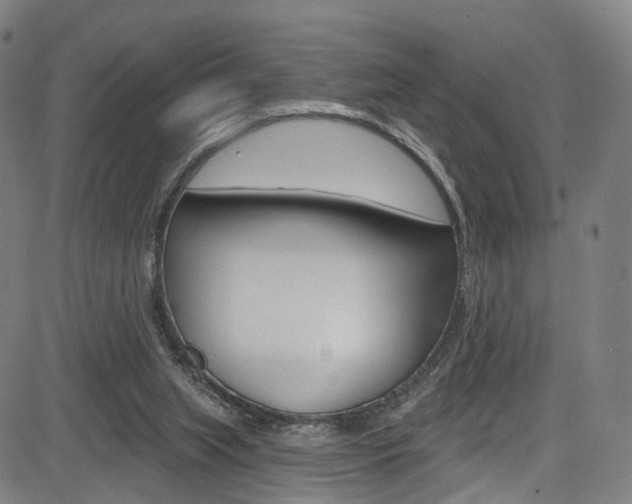 X0000085300063200703091130