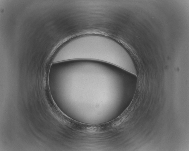 X0000085300064200703091130