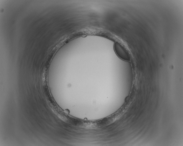 X0000085300065200703091130