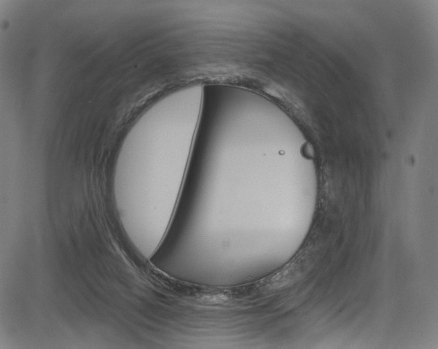 X0000085300066200703091130