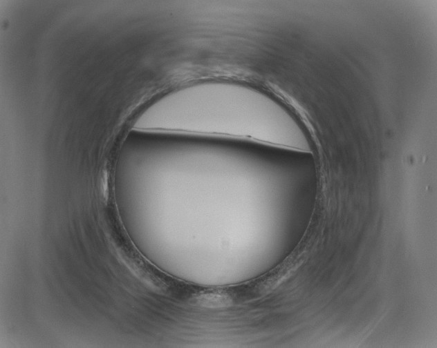 X0000085300067200703091130