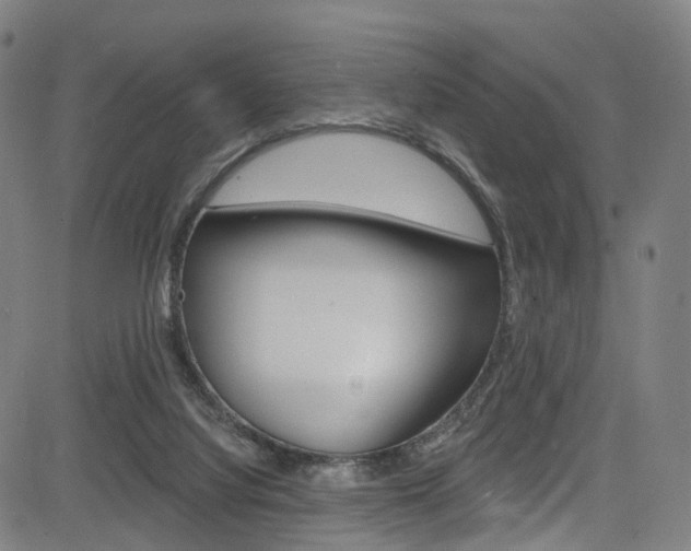 X0000085300068200703091130