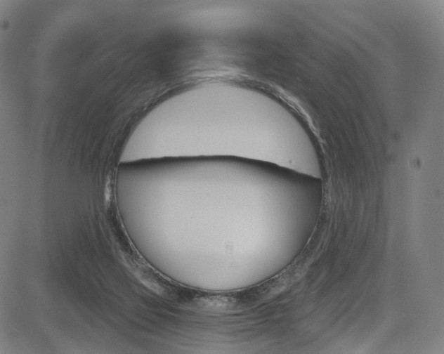 X0000085300069200703091130