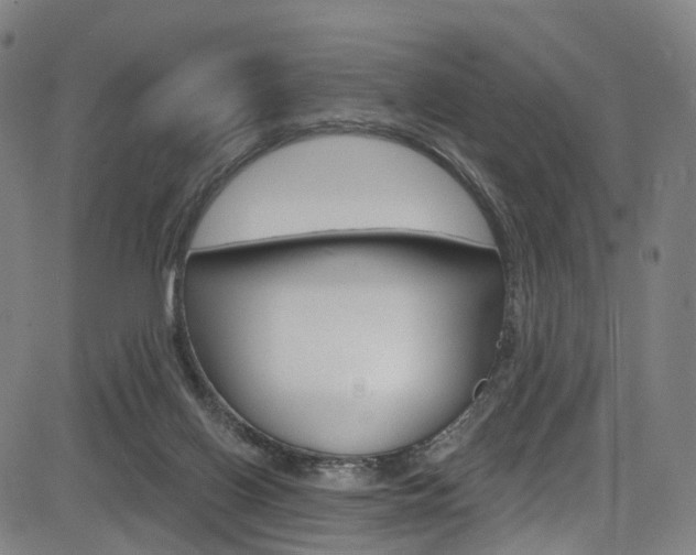 X0000085300070200703091130