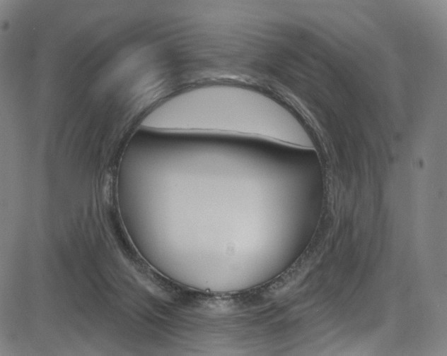 X0000085300071200703091130