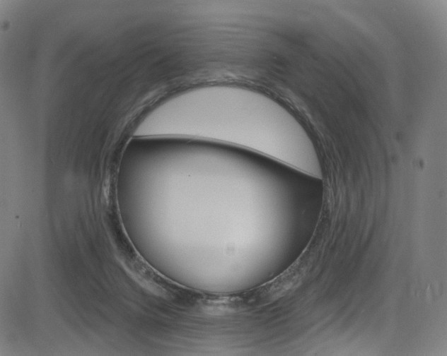 X0000085300072200703091130