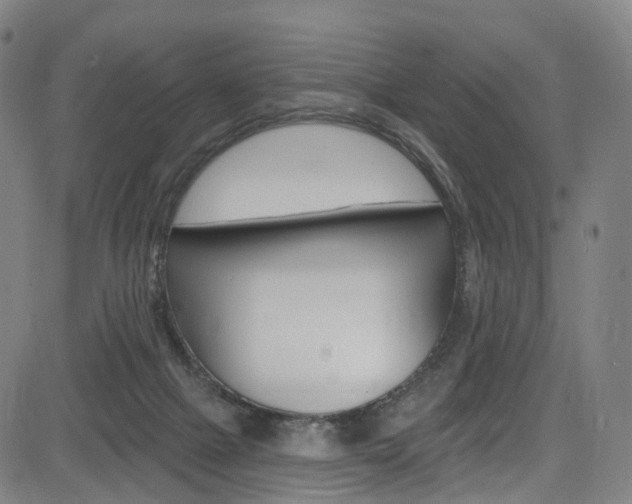 X0000085300073200703091130