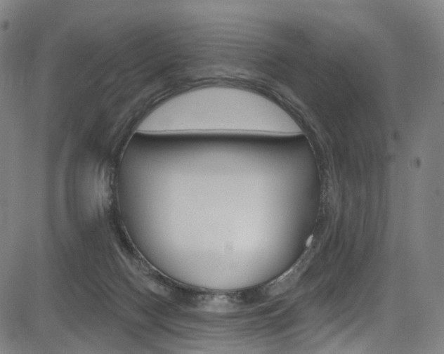 X0000085300074200703091130