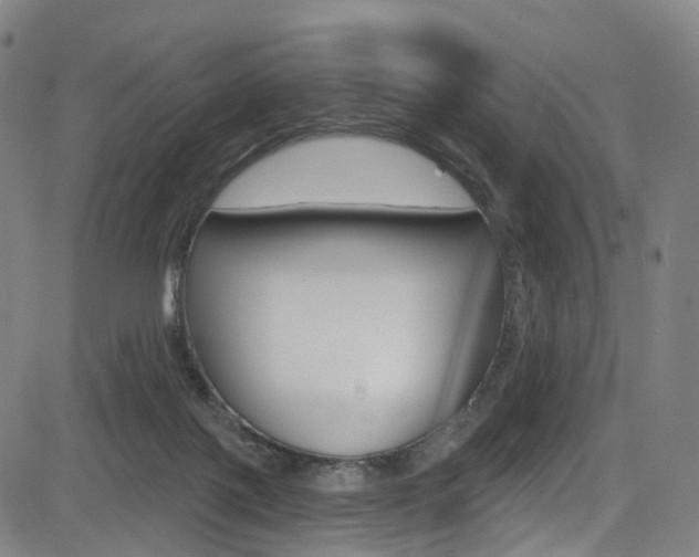 X0000085300075200703091130