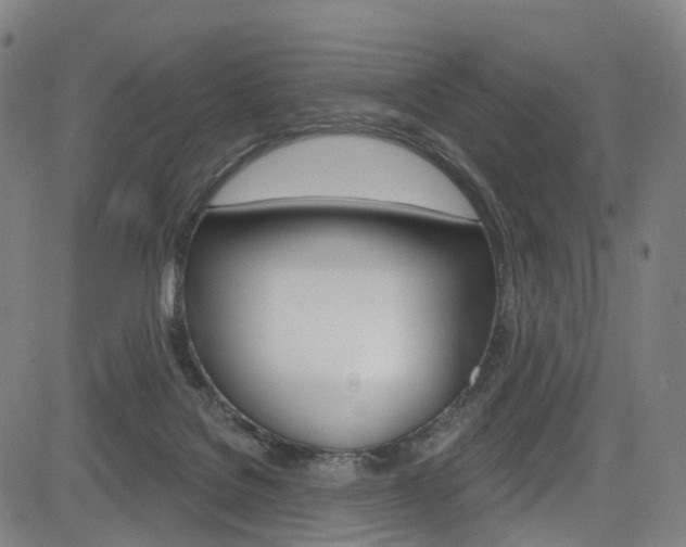 X0000085300076200703091130