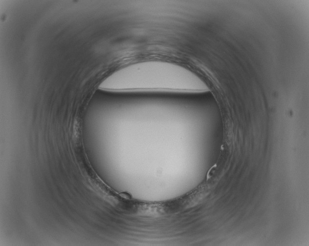 X0000085300077200703091130