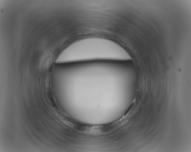 X0000085300078200703091130