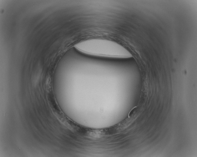 X0000085300079200703091130