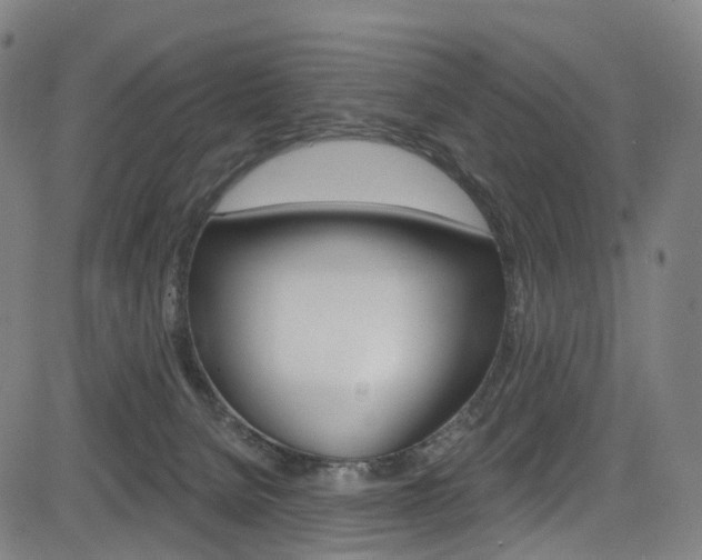 X0000085300080200703091130