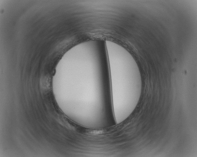 X0000085300081200703091130